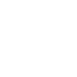 Beef Rump